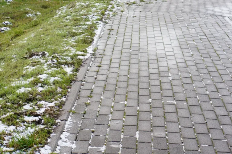 Concrete Driveways: Why Homeowners Choose Them