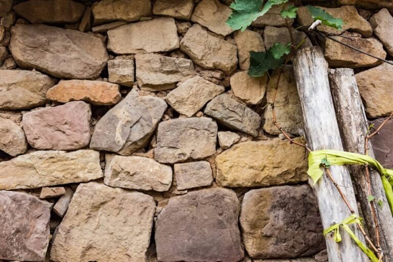 Natural Stone Landscaping Ideas for Stunning Outdoor Spaces