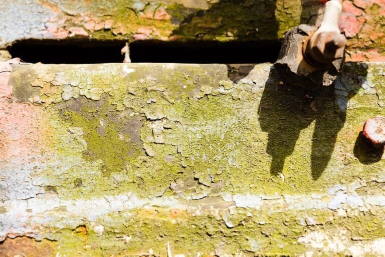 Masonry cleanup tips after brick and concrete work