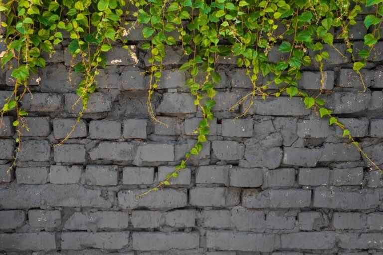 Garden wall masonry with brick stone and block work