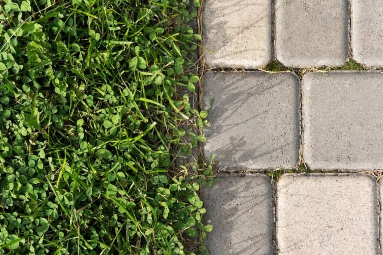 Brick garden edging around walkway and planting bed